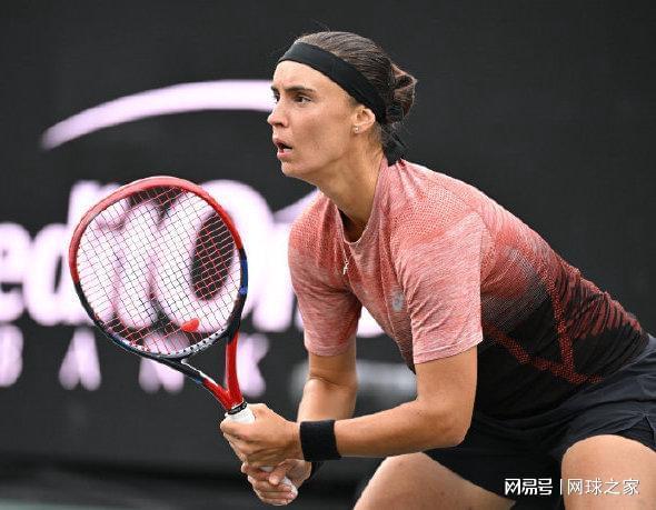 不仅是纯粹 不仅是纯粹