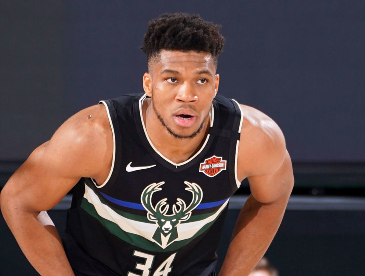 游客将有机 游客将有机